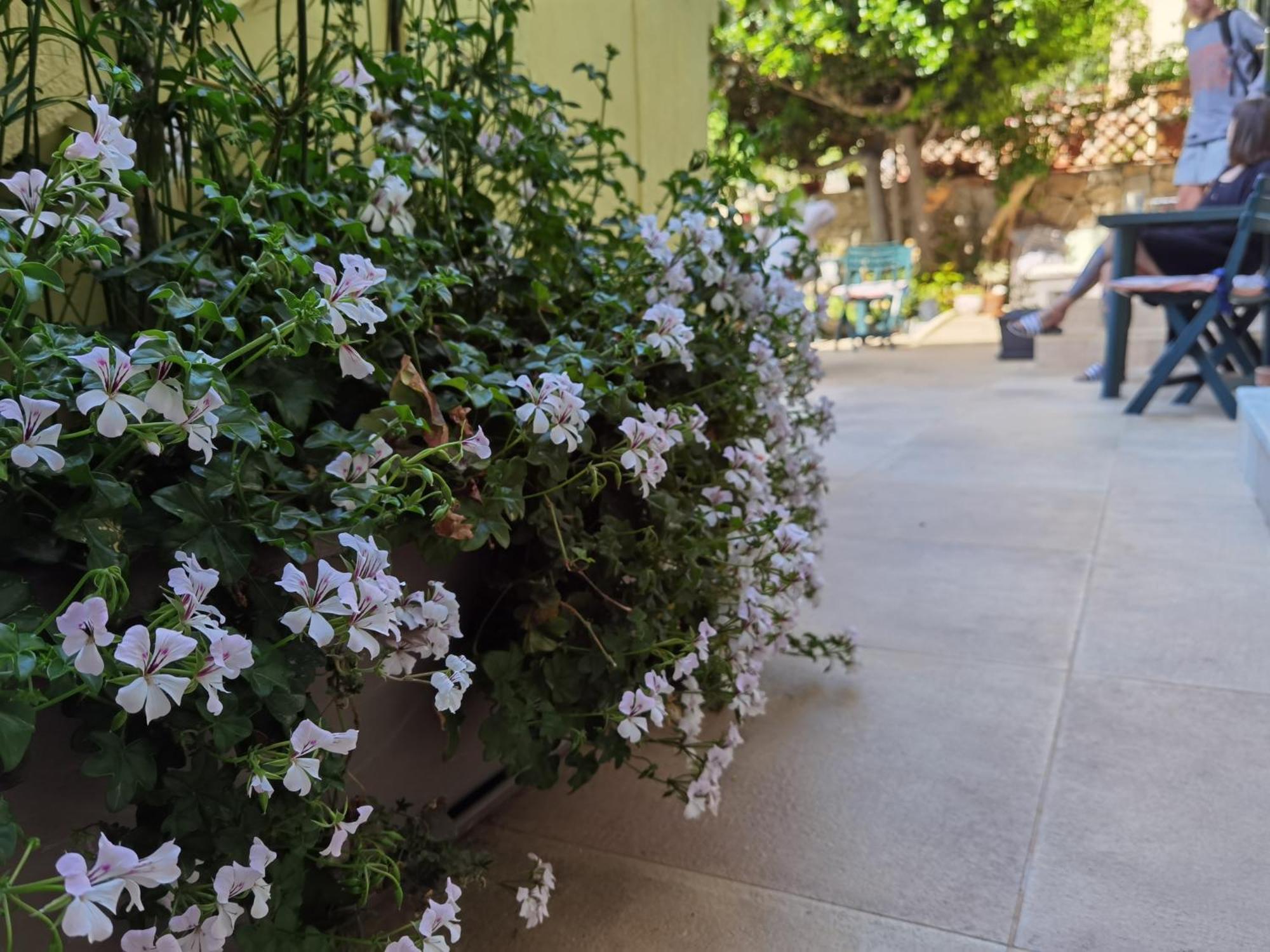 Il Giardino Di Tatiana Rooms & Breakfast La Maddalena  Room photo